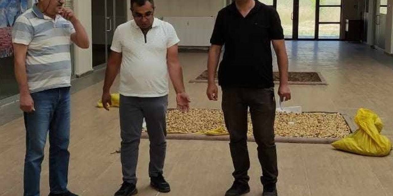 Salep Soğanlarını Tahrip Eden Kişilere 488 Bin 628 Tl Para Cezası Verildi