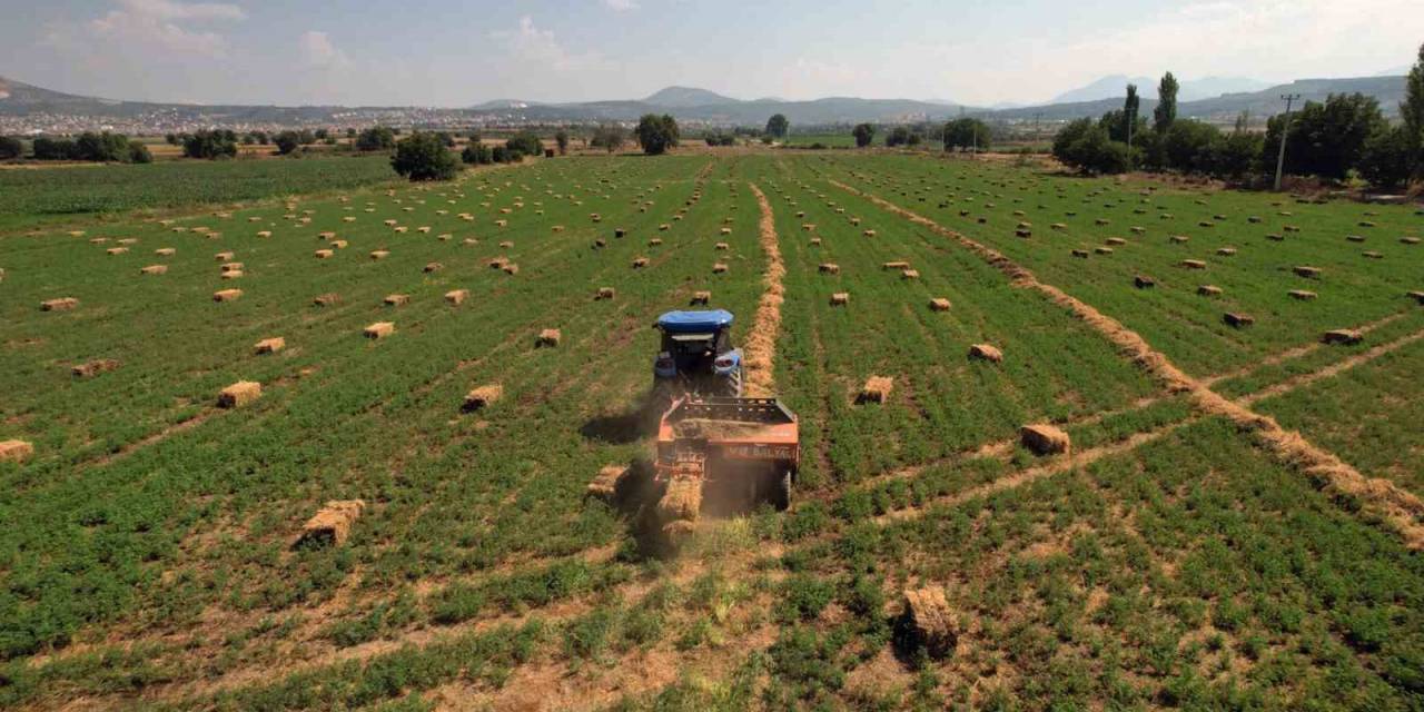 Toprak Büyükşehir’den, Üretim Kooperatiflerden
