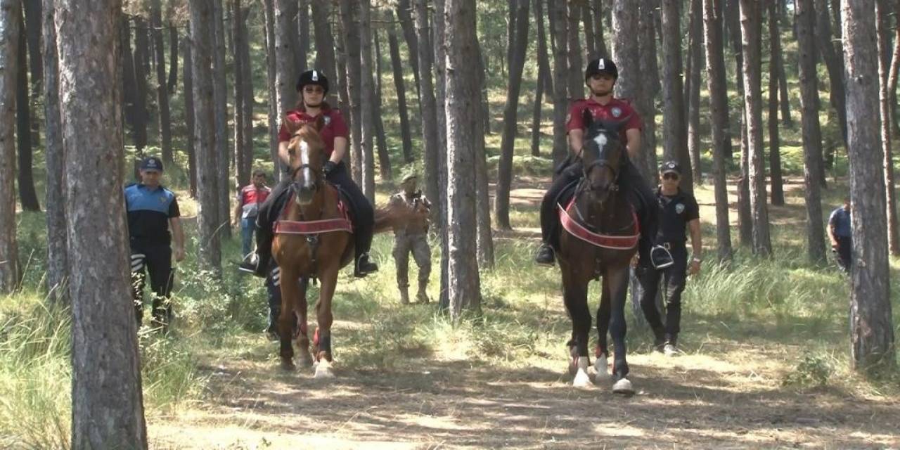 Maltepe’de Orman Yangınlarına Karşı Hem Havadan Hem Karadan Denetim