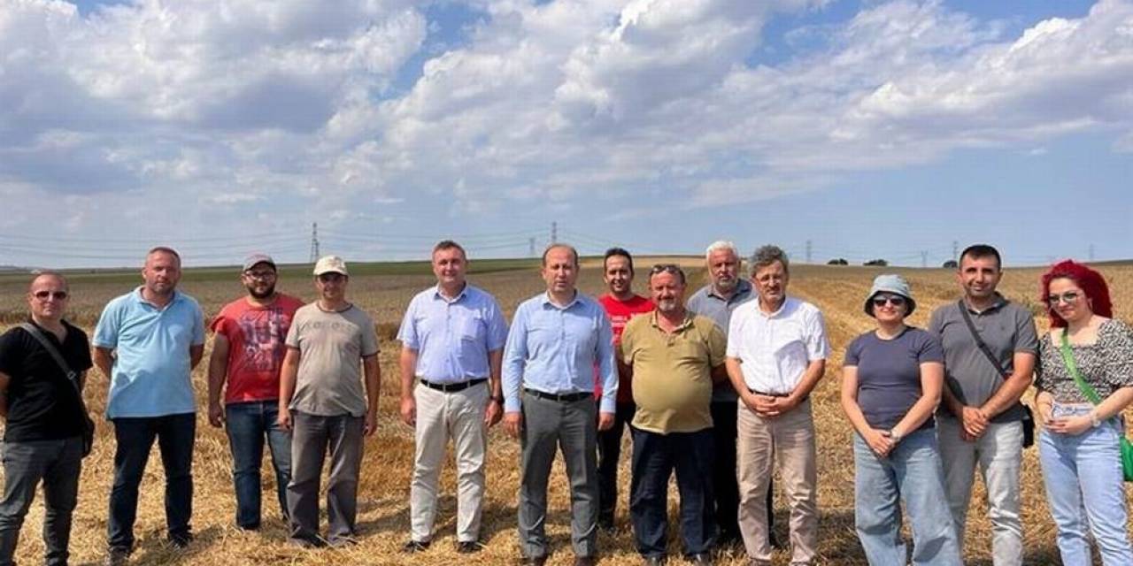 Tekirdağ’da Buğday Hasadı Devam Ediyor