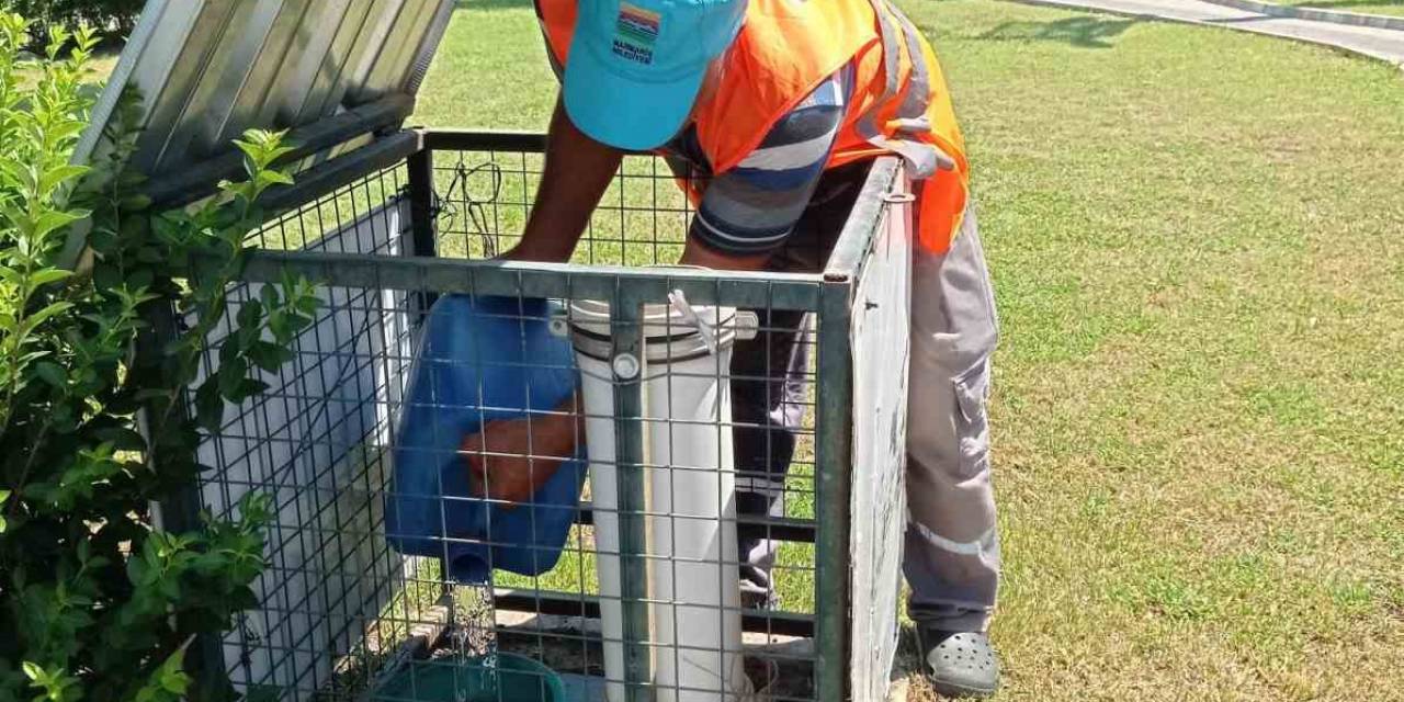 Marmaris Belediyesi Kavurucu Sıcaklarda Can Dostlar İçin Seferber Oldu