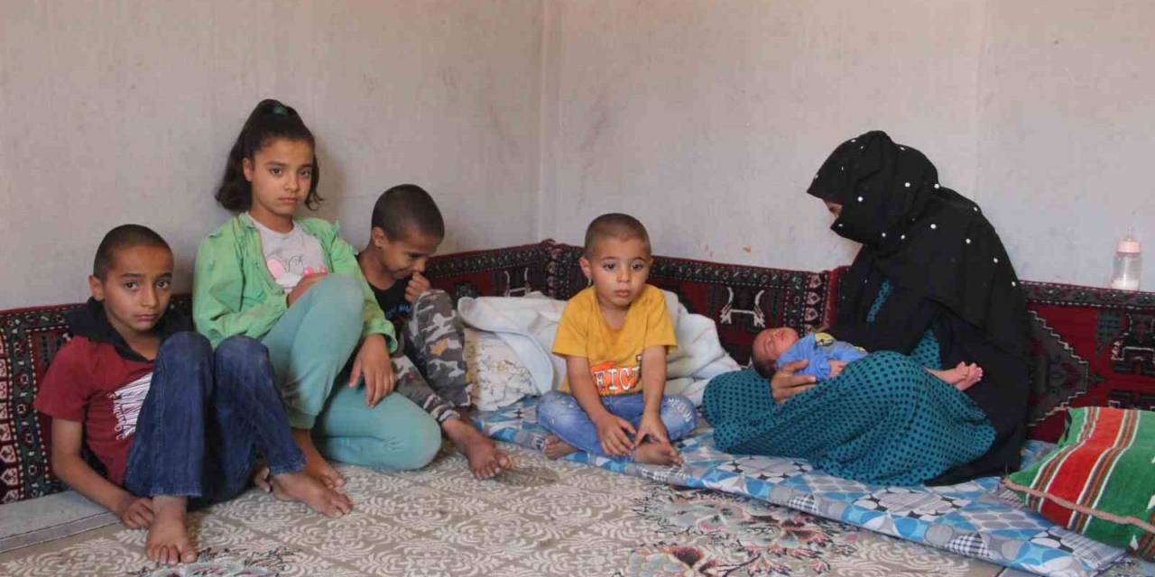 Şanlıurfa’da Depremzede Ailenin Evine Hırsızlar Dadandı