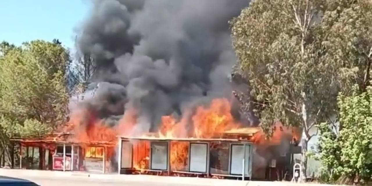 Adana’da Kafede Çıkan Yangın Ormana Sıçradı