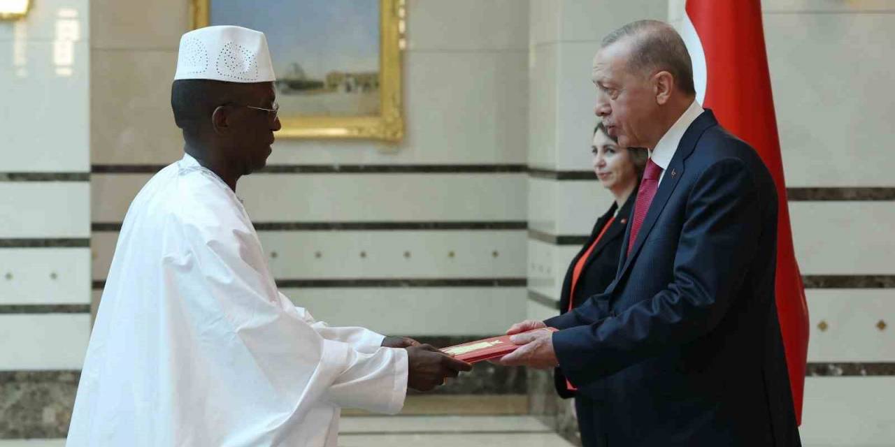 Gine Büyükelçisi Cumhurbaşkanı Erdoğan’a Güven Mektubu Sundu