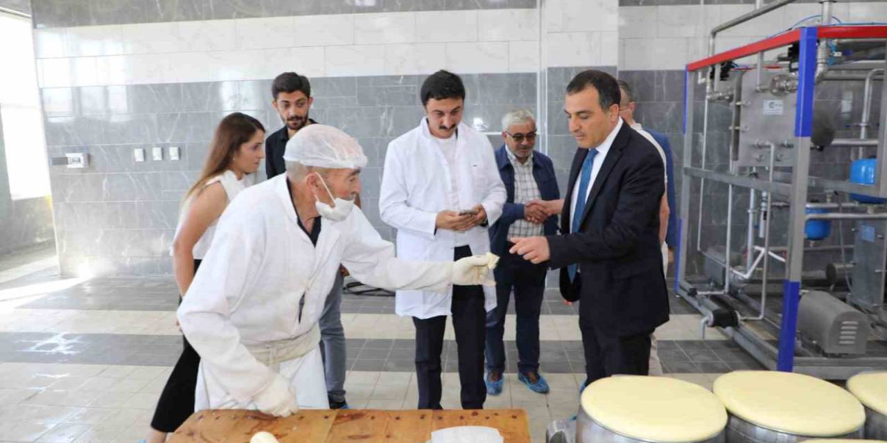 Vali Öksüz, Sanayi Tesislerinde İncelemelerde Bulundu