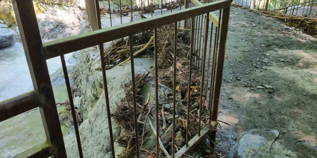 Sel Sonrası Tabiat Anıtı Alanları Temizlendi