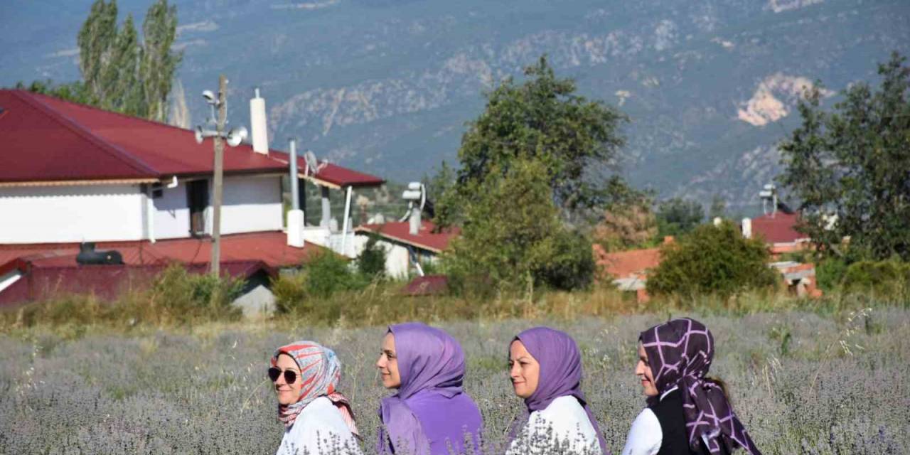 Ressamlığı Bırakan Kadın Girişimci, Lavanta Üreticisi Oldu