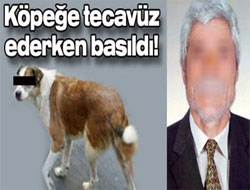 Köpeğe tecavüz ederken basıldı!