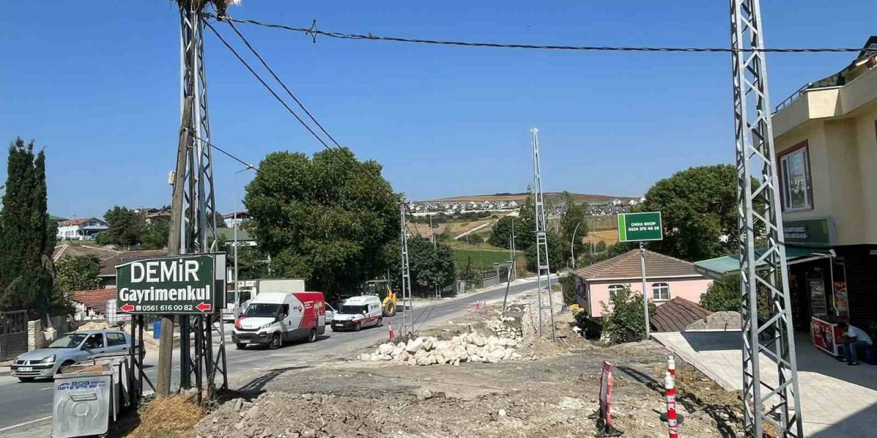 Leylek Yavruları İçin Yol İnşaatı Durduruldu