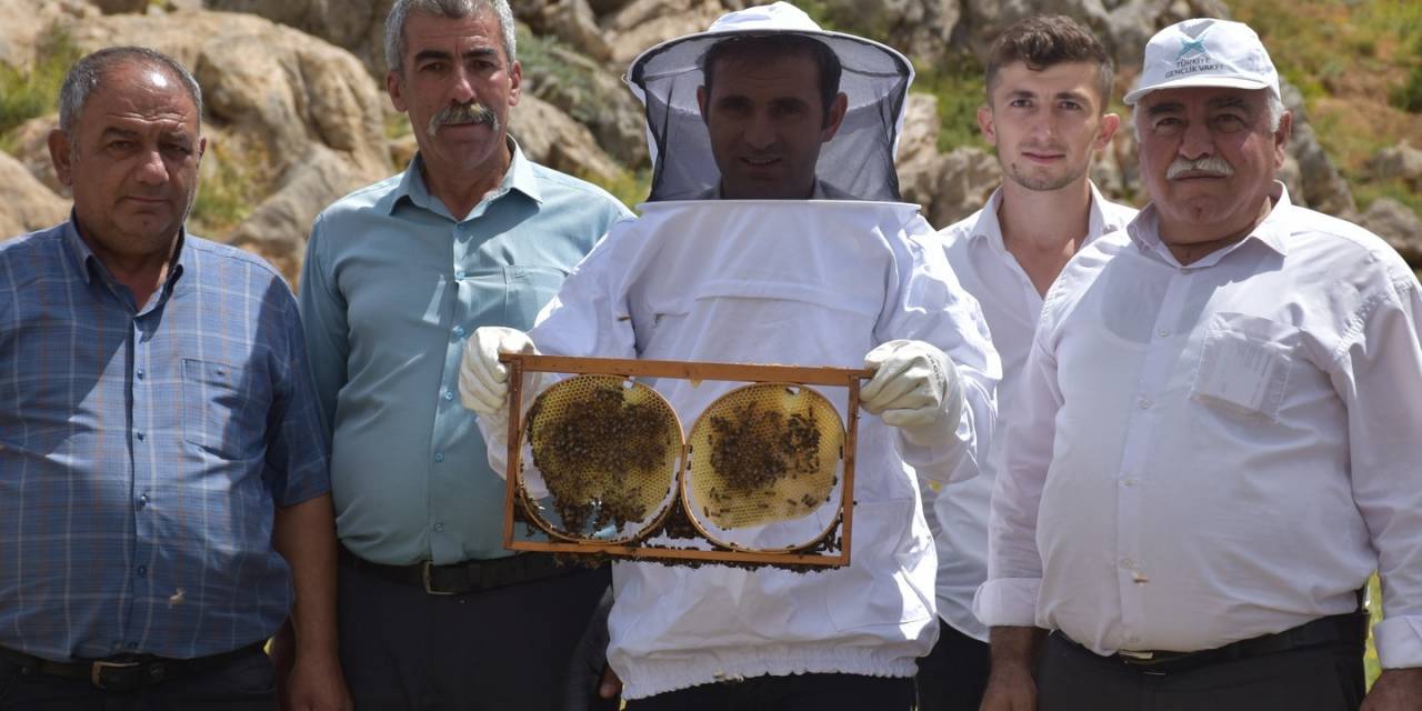 Organik Bal Üretimi İçin Deneme Amaçlı Kovan Dağıtıldı