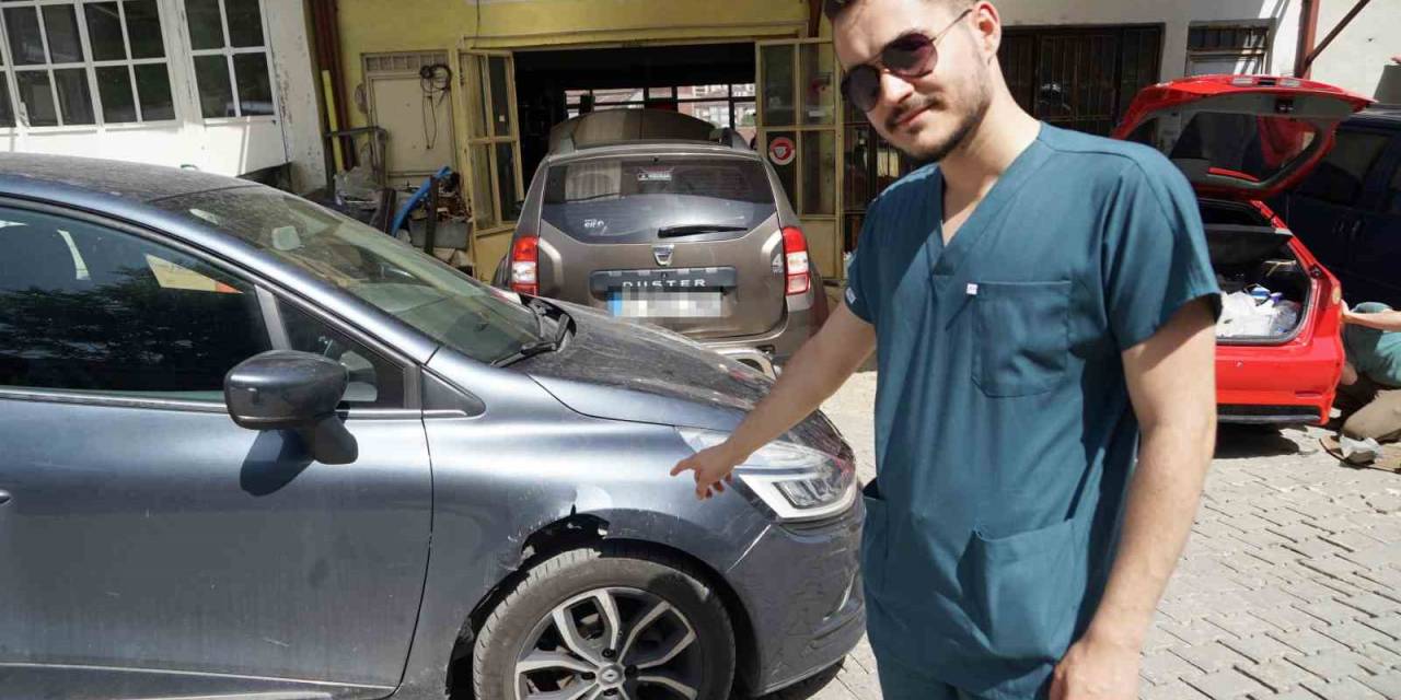 Veteriner Hekimin Aracını Başıboş Köpekler Parçaladı, Görüntüleri İzleyince Şoke Oldu
