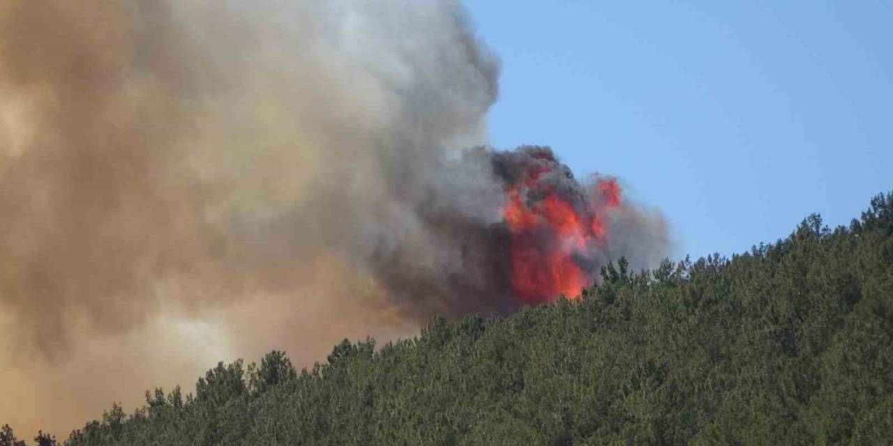 Kahramanmaraş’taki Orman Yangını Söndürüldü