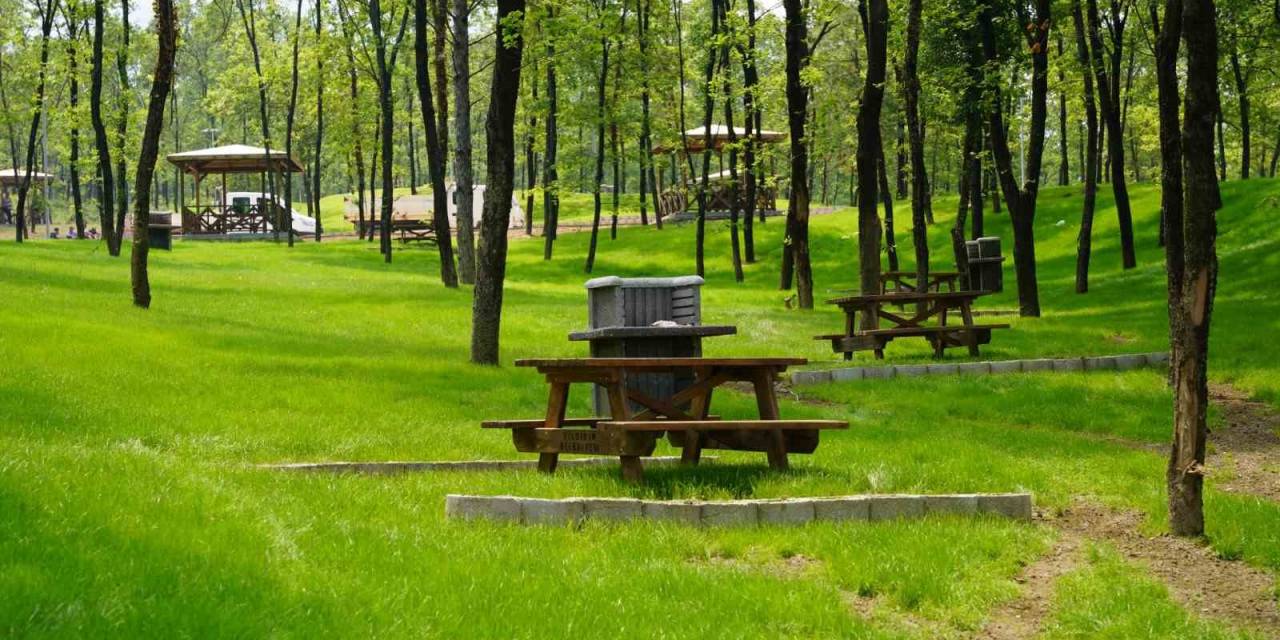 700 Yıllık Osmanlı Köyü’ne Devasa Orman Parkı