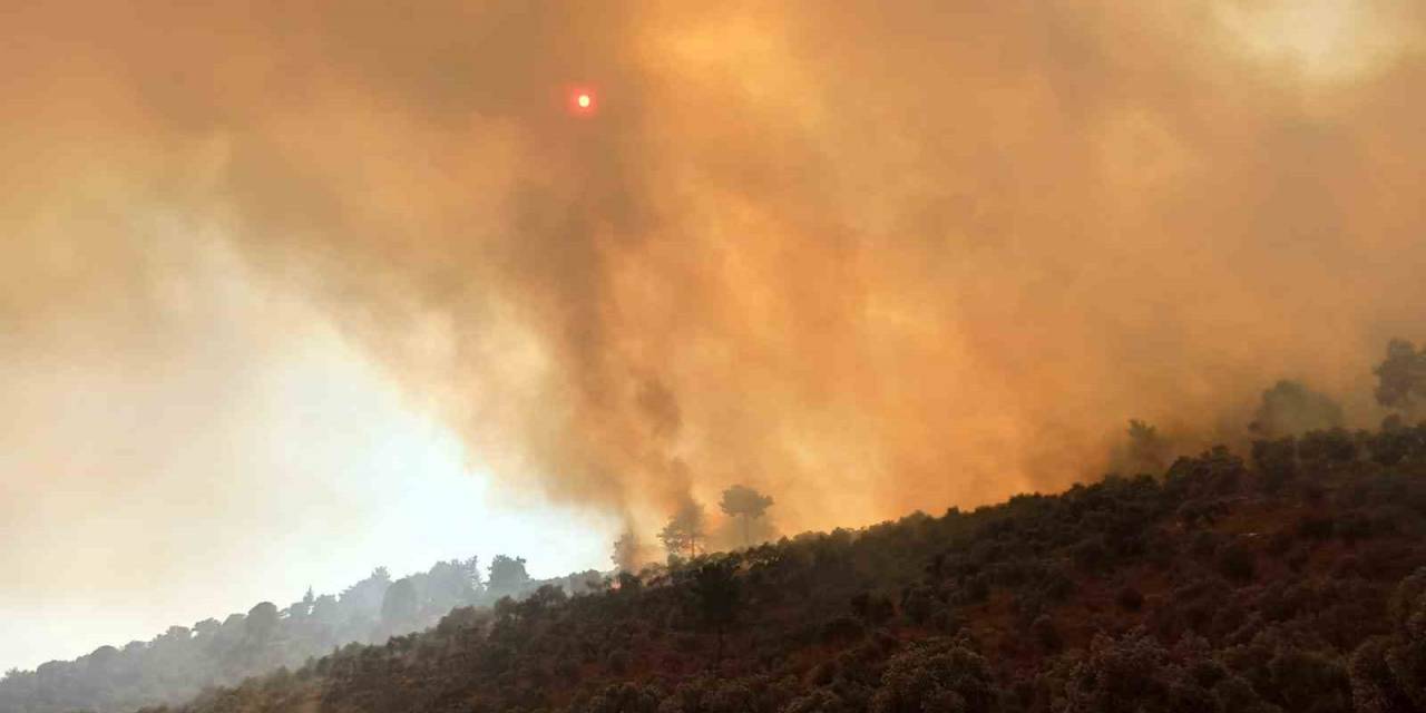 Bodrum’daki Orman Yangınına Havadan Ve Karadan Müdahale Sürüyor