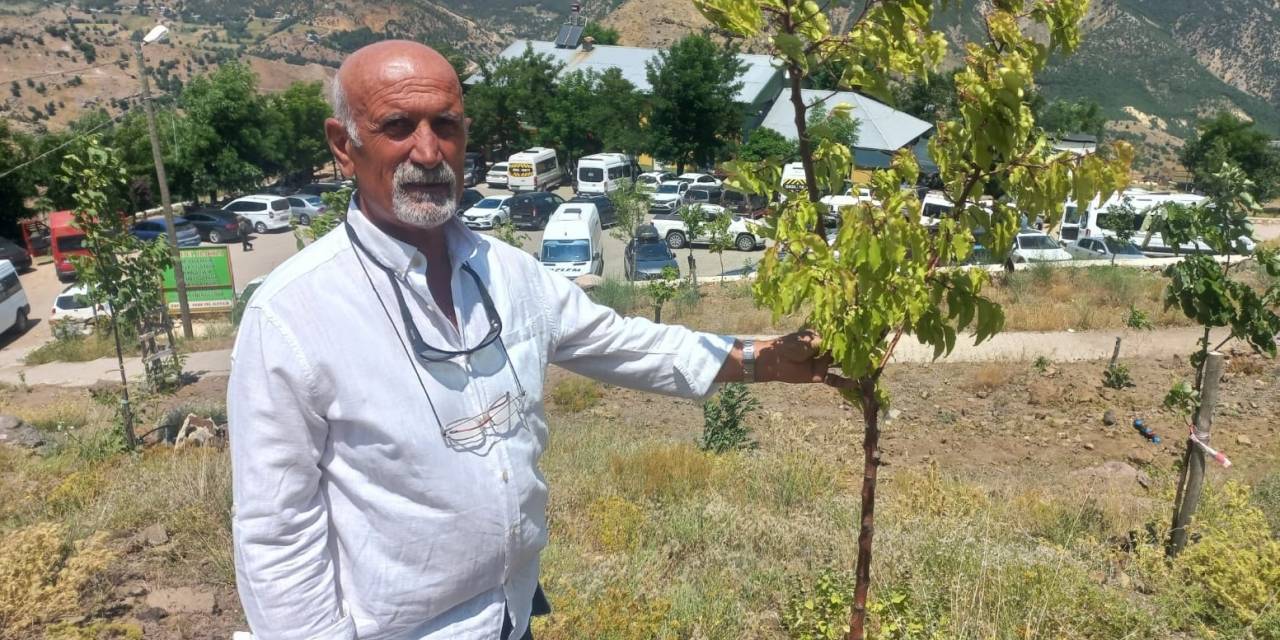 Vatandaşların Ziyaret Ettiği Düzgün Baba’ya Bin 500 Ağaç Diktirdi