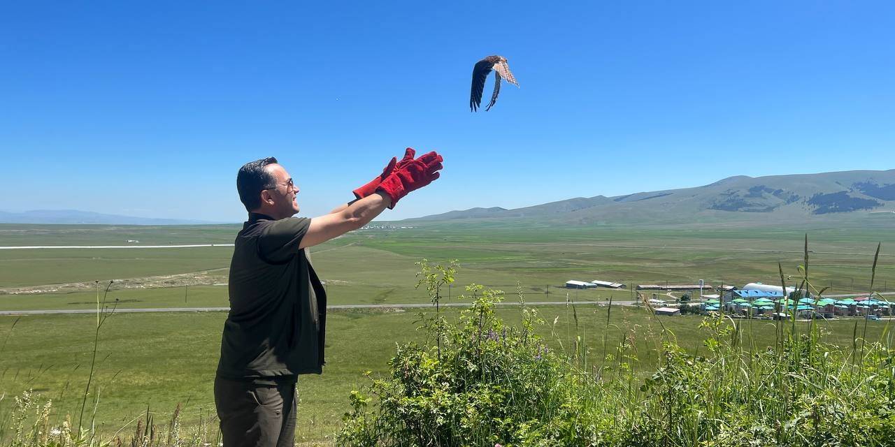 Kars’ta Tedavileri Tamamlanan Kerkenezler Doğaya Bırakıldı