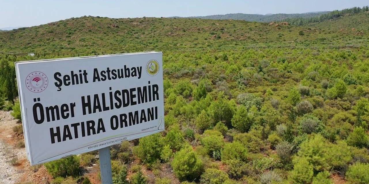 15 Temmuz Şehitleri Ve Demokrasi Hatıra Ormanları’nda Bugüne Kadar 300 Bin Fidan Toprakla Buluşturuldu