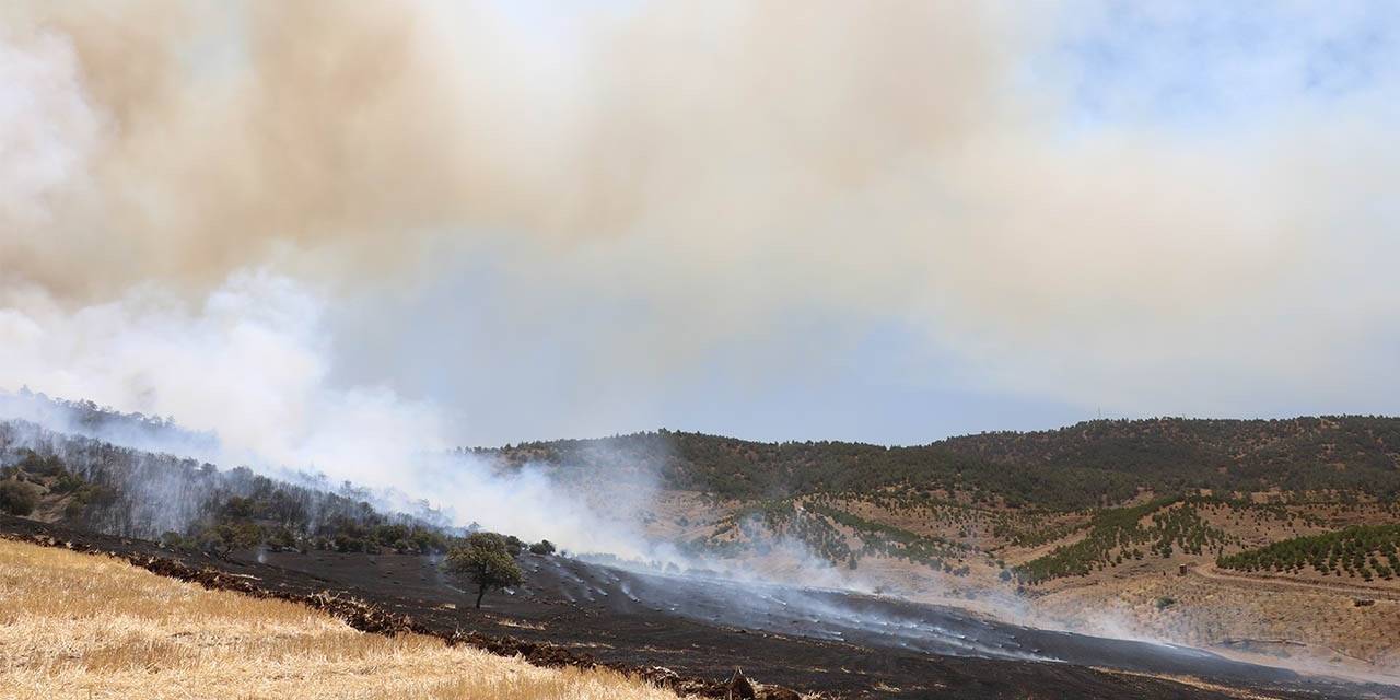 Kahramanmaraş’taki Orman Yangını Kontrol Altına Alındı
