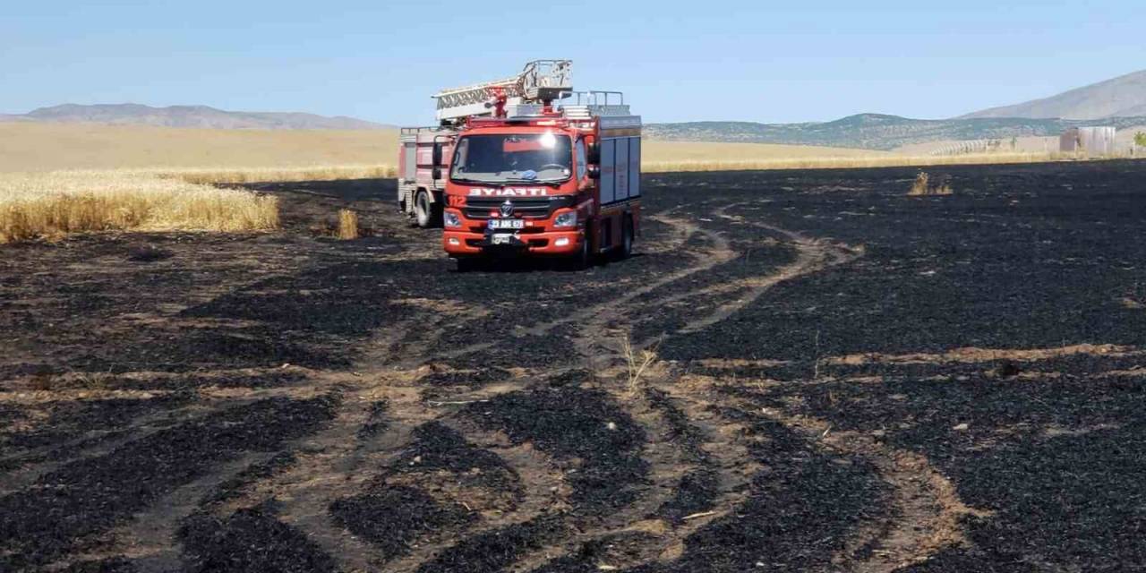 Trafodan Çıkan Kıvılcım 70 Dönümlük Ekili Alanı Kül Etti