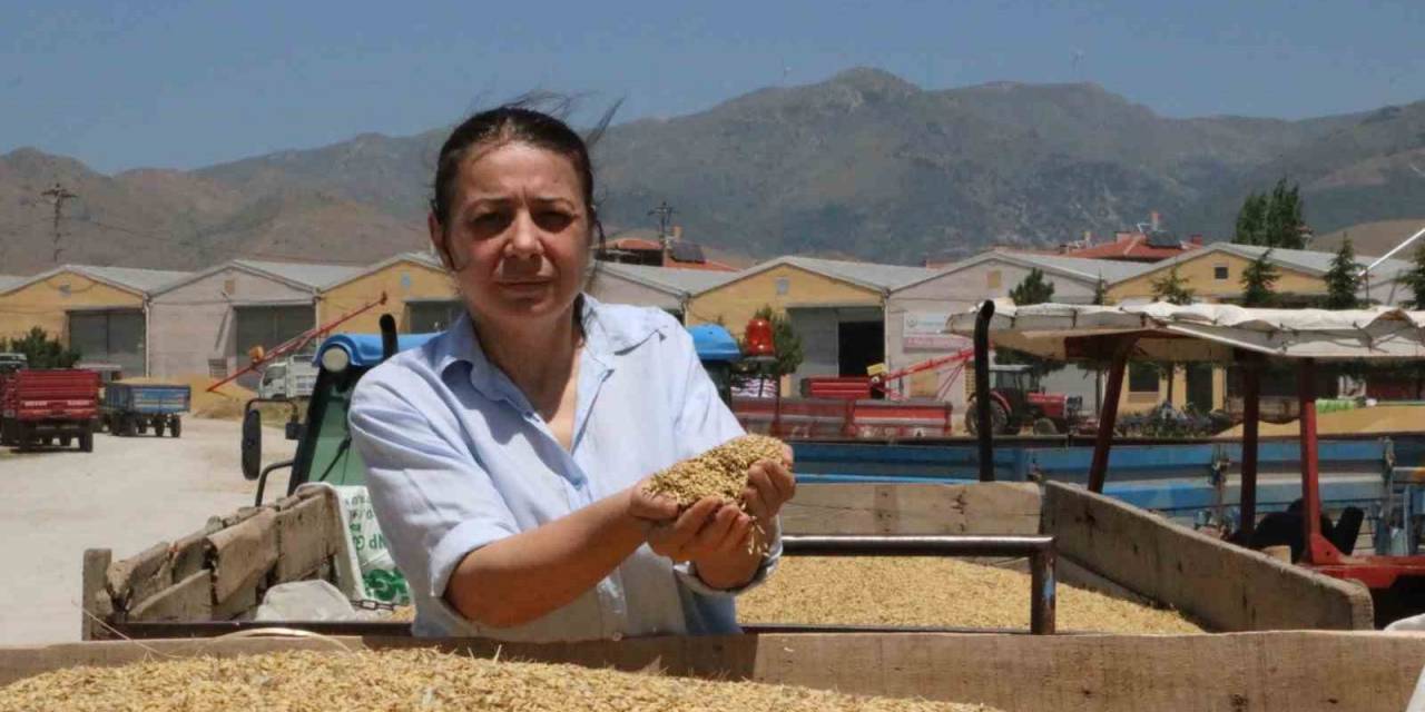 Sandıklı’da Arpa Üreticileri Alım Fiyatlarından Dertli