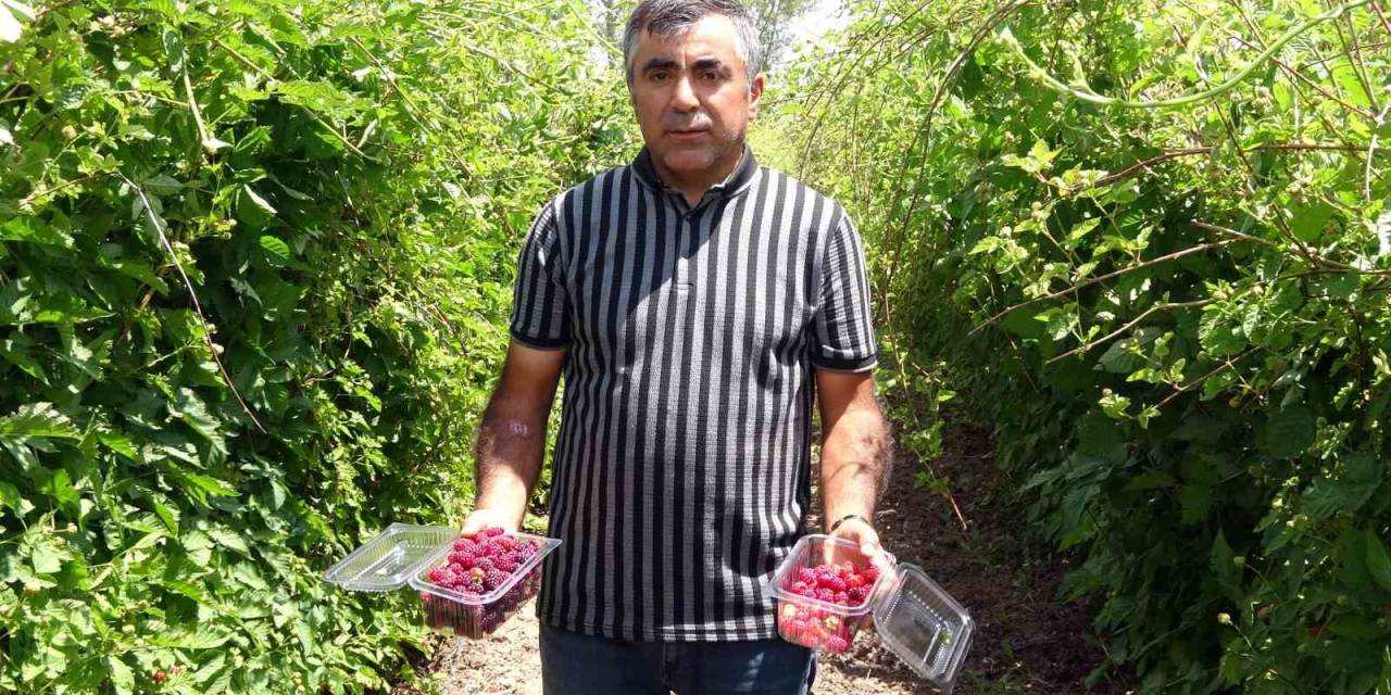 Hobi Olarak Üretmeye Başlamıştı Şimdi Taleplere Yetişemiyor, Bahçeden Çıkmadan Ürünler Tükeniyor