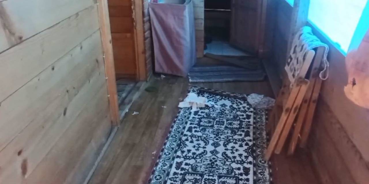 Artvin’de Aç Kalan Ayılar Yayla Evlerini Talan Etti