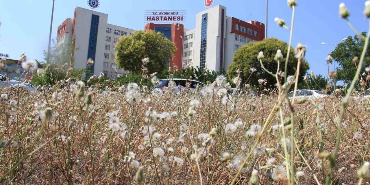 Adü’de Bir İlk Yaşandı, Hemşireler Maaşlarını Alamadı