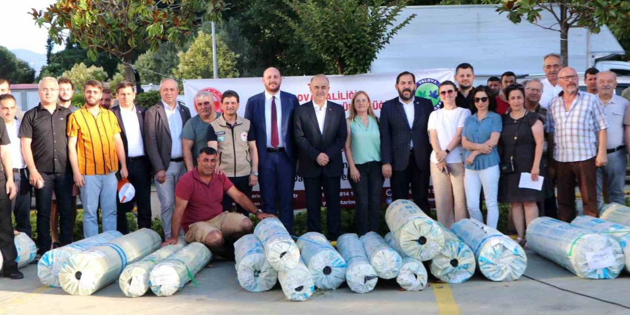 Yalova’da Sebze Üreticilerine 20 Ton Sera Örtüsü Dağıtıldı