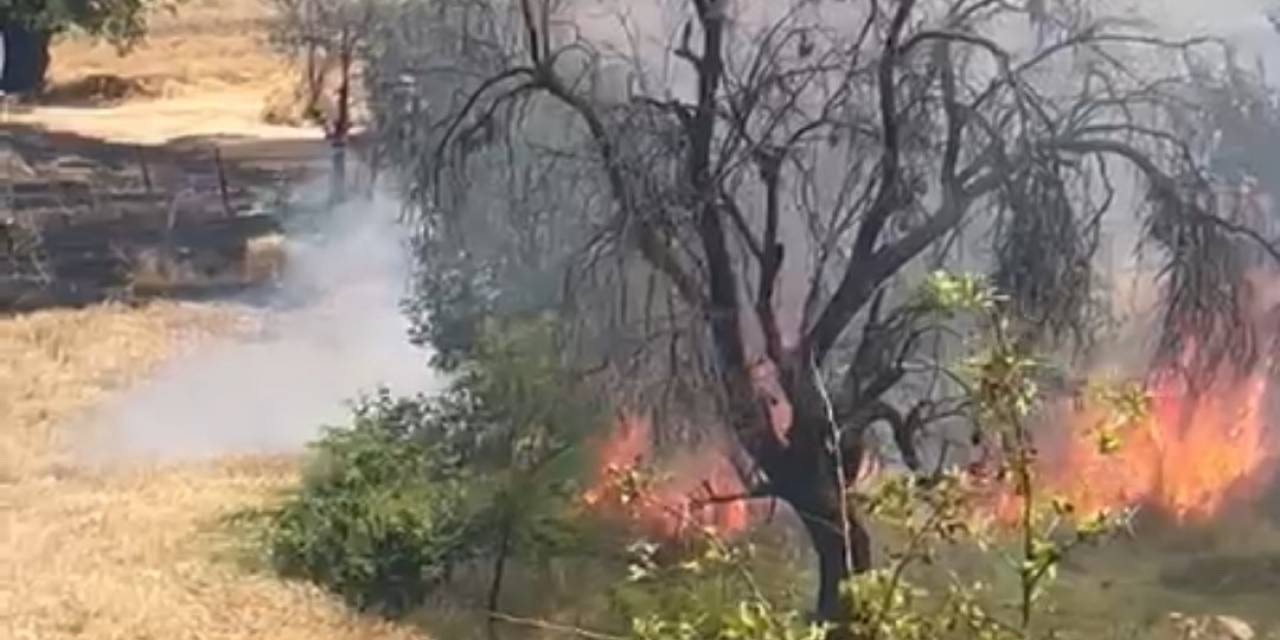 Kütahya’da Buğday Ekili Tarlada Yangın