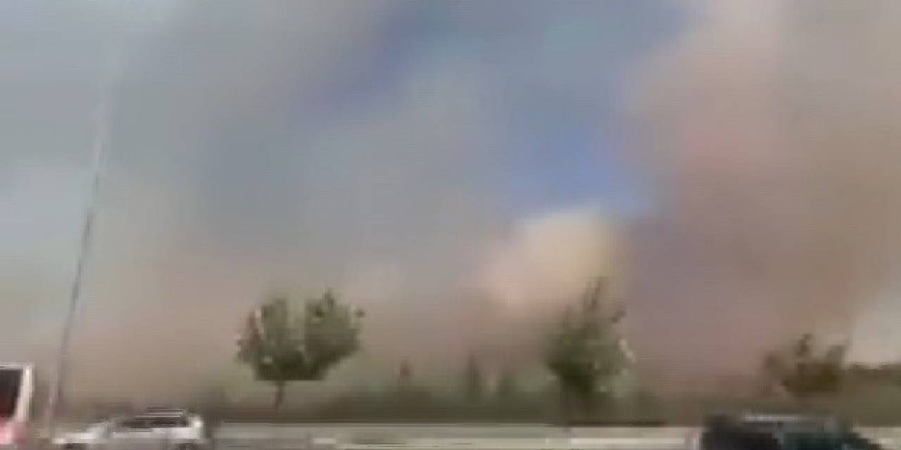 Gaziantep’te Orman Yangını