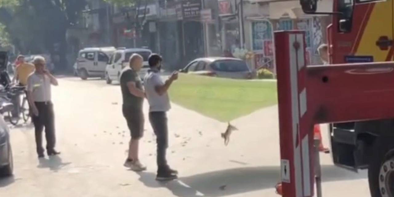 Esnaf Ve İtfaiyeden Kedi Operasyonu