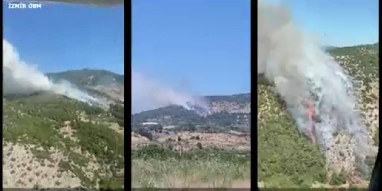 İzmir Ve Manisa’da 9 Orman Yangını Söndürüldü
