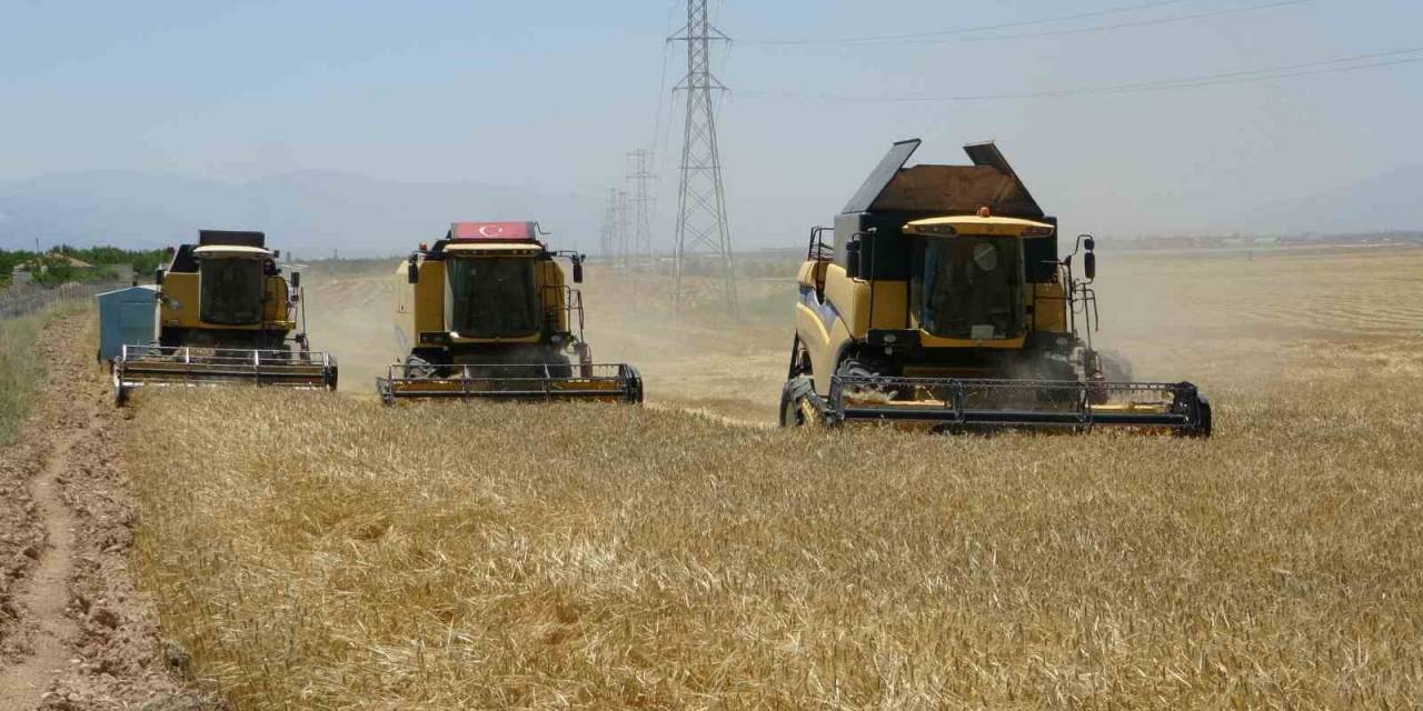 Sultansuyu’nda Hububat Hasadı Başladı
