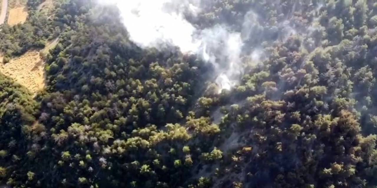 Bolu’da Çıkan Orman Yangınında 5 Hektarlık Alan Küle Döndü