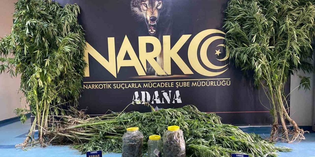 ’satmıyorum Kullanıyorum’ Diyen Uyuşturucu Taciri Tutuklandı