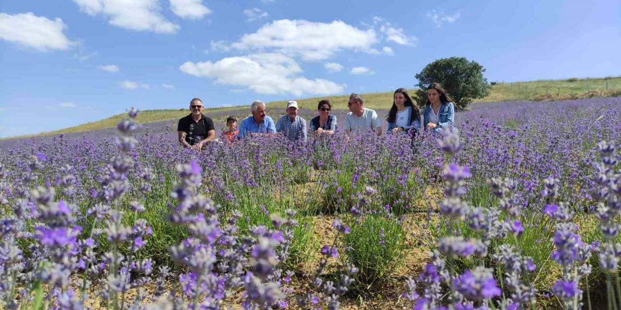 Yurt Dışından Geldi, Bozkırı Lavantaya Bürüdü