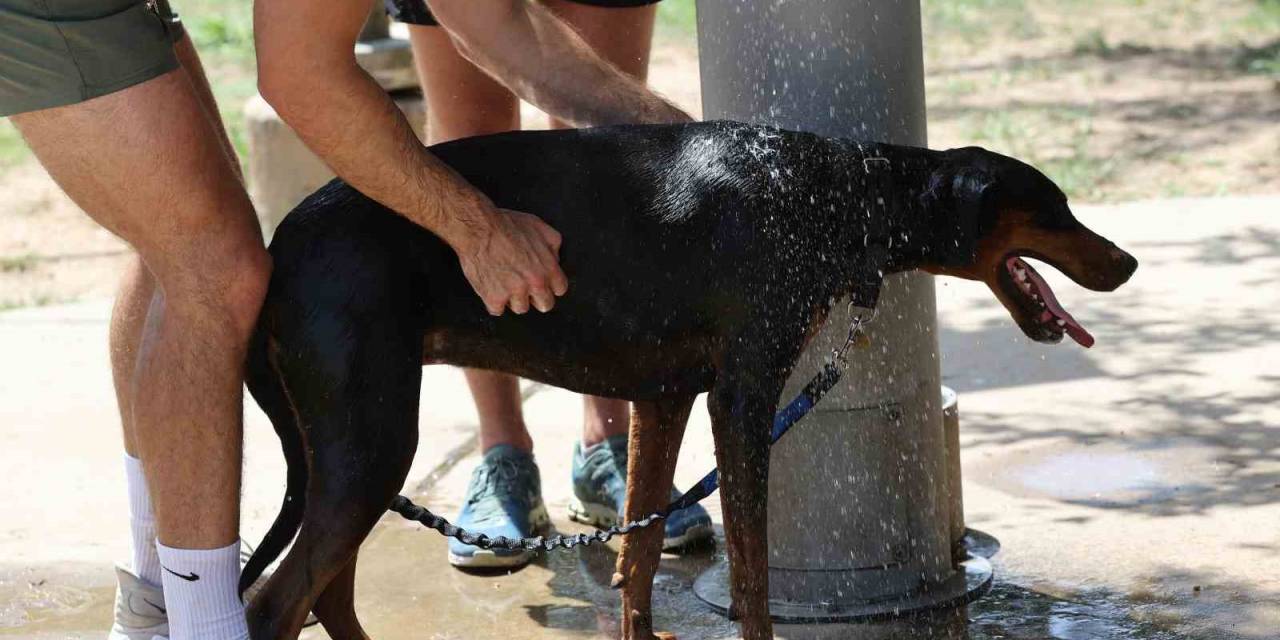 Abd’nin 38 Kentinde Sıcaklık Rekoru