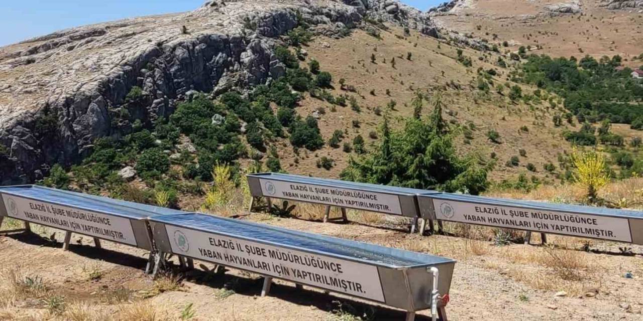 Elazığ’da Yaban Hayatı İçin Su Yalakları Oluşturuldu