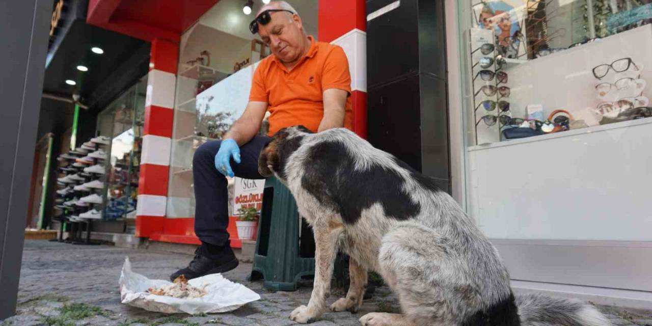 7 Yıl Önce Yaralı Halde İş Yerinin Önüne Gelen Sokak Köpeği Esnafın "dost"u Oldu