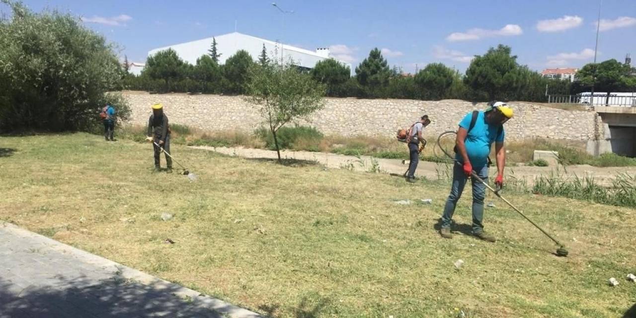 Belediye Ekipleri İlçedeki Yabani Otları Temizliyor