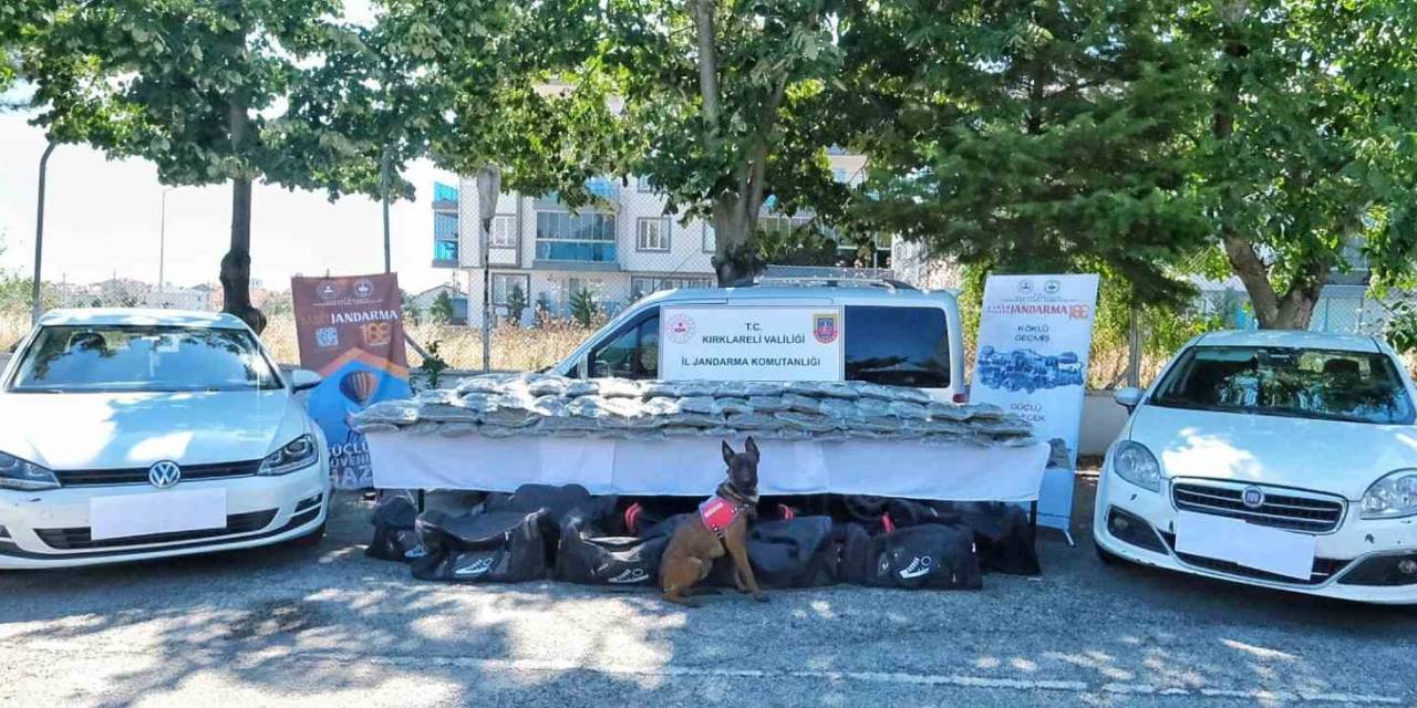 Kırklareli’nde Uluslararası Uyuşturucu Operasyonu: 101 Kilogram Skunk Ele Geçirildi