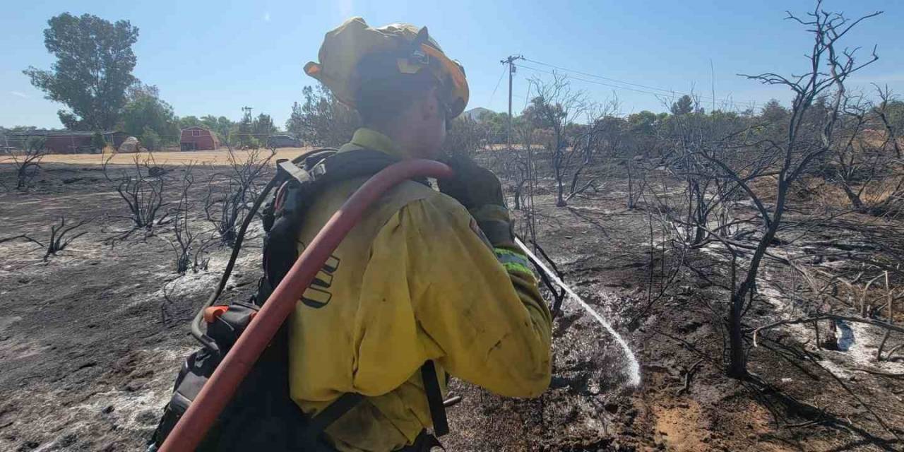 California’da Orman Yangını: 3 Bin 400 Hektar Alan Yandı