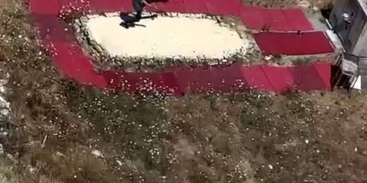 İstanbul’da Hayvana Şiddet Kameraya Yansıdı: Güvercini Fırlatıp Tekmeledi
