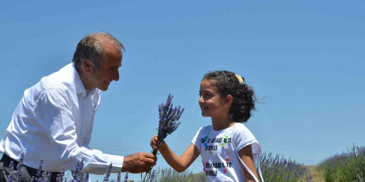 Arguvan Mor Renge Büründü