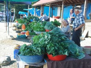 Yayla Yolunda Organik Pazar