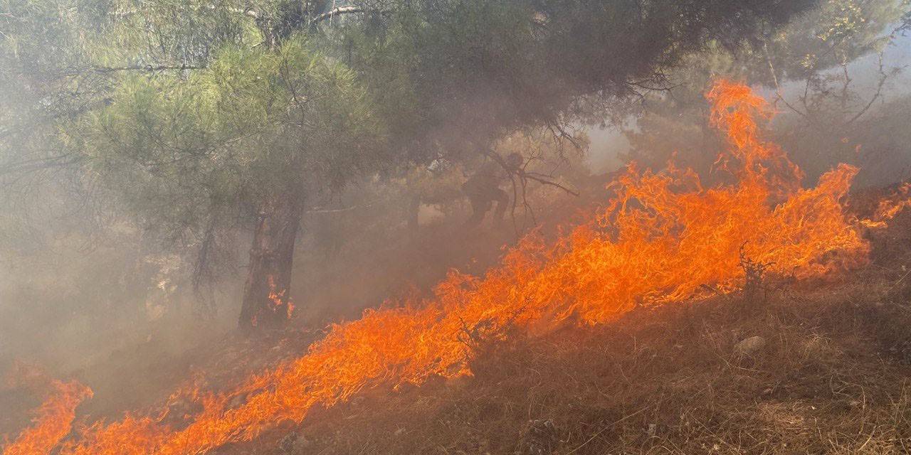 Ormana Sıçrayan Yangın 3 Saatte Kontrol Altına Alındı