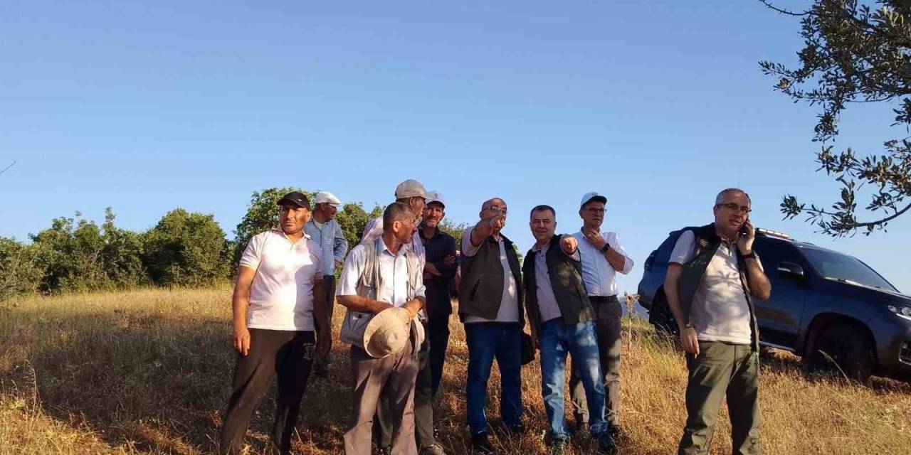 Balıkesir’deki Orman Yangını Kontrol Altına Alındı