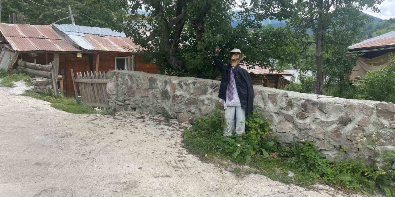 Ayılar Artvin’de Köylüleri Canından Bezdirdi: "ağaçlardan Meyve Toplayamıyoruz"