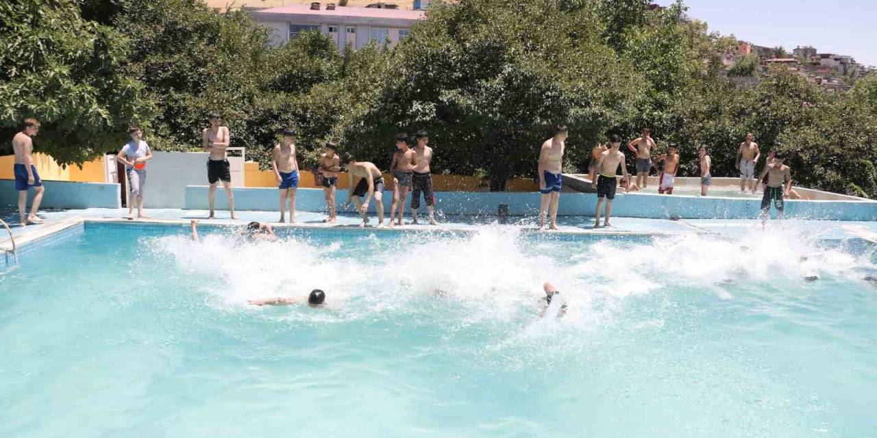 Sıcak Havalarda Havuza Girerek Serinliyorlar
