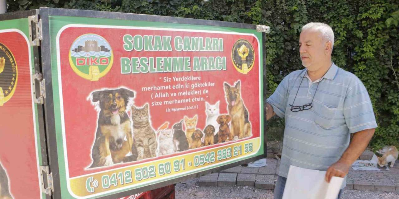 Diyarbakır Sıcaklarında Günde 3-4 Bin Sokak Hayvanına Mama Ve Su Veriliyor